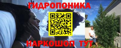 Альфа ПВП Можга