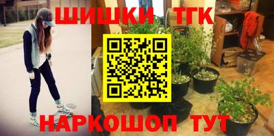 Альфа ПВП Можга