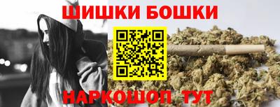 соль ск Моздок
