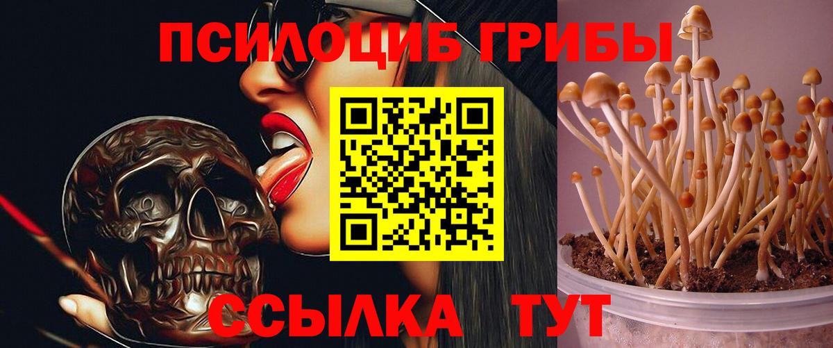 Галлюциногенные грибы мицелий  даркнет сайт  Галлюциногенные грибы MAGIC MUSHROOMS  Сокол  Вход с VPN 