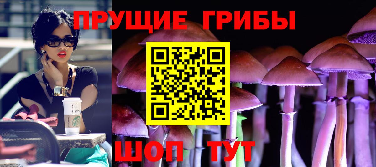 Псилоцибиновые грибы Magic Shrooms Сокол