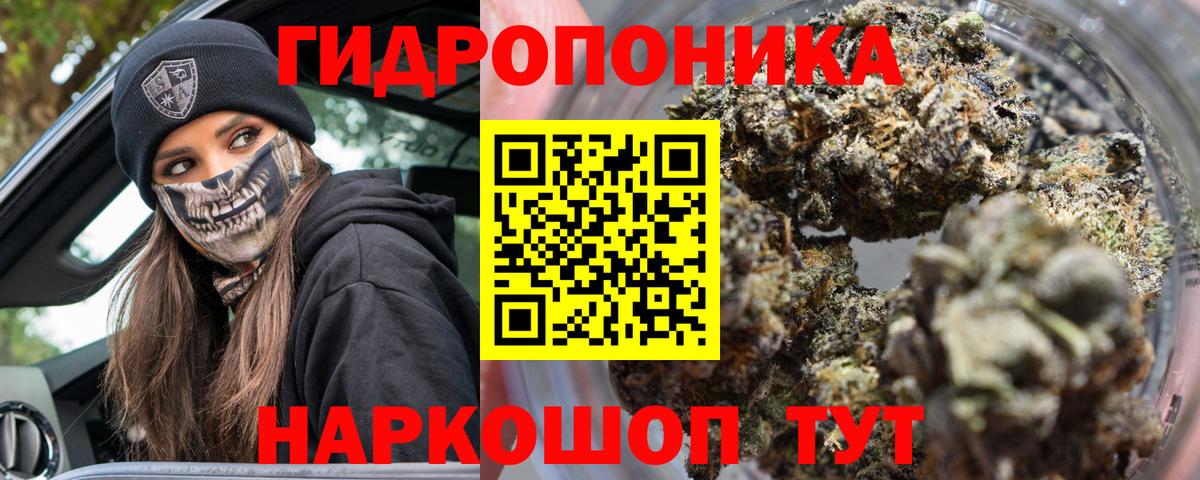 Марихуана индика Сокол